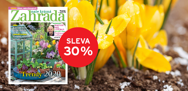 Exkluzivní SLEVA 12x vydání Naše krásná zahrada za 459 Kč Exkluzivní SLEVA 12x vydání Naše krásná zahrada za 459 Kč