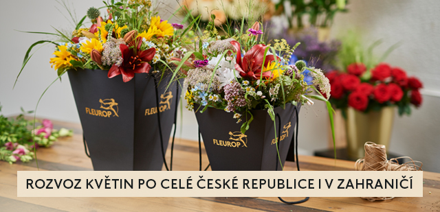 Exkluzivní sleva 15 % na VALENTÝNSKOU KYTICI Exkluzivní sleva 15 % na VALENTÝNSKOU KYTICI